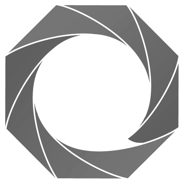 NoxNoctis Logo